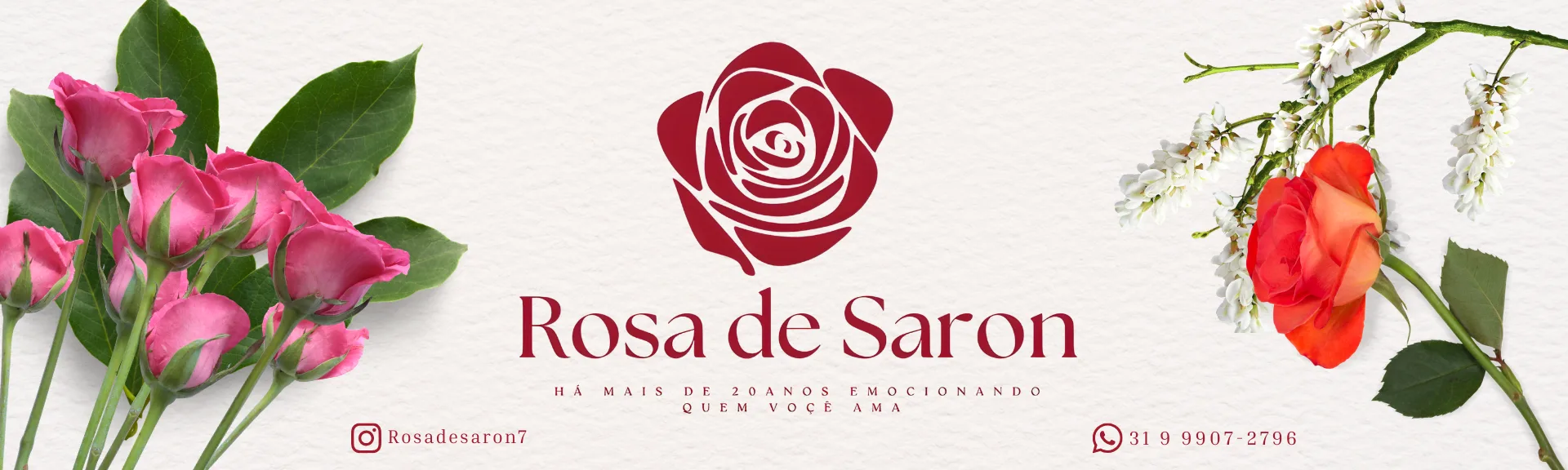 rosa de saron