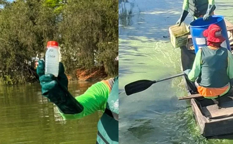 Prefeitura intensifica medidas para recuperar a qualidade ambiental da Lagoa Paulino