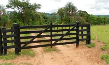 Vaqueiro é preso com espingardas, pistolete, cartuchos e gaiolas de tatu, em fazenda de Baldim