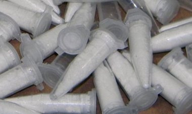 Trio é preso com 20 pinos de cocaína, 8 pedras de crack e porção grande de maconha, em Pedro Leopoldo