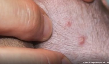 Cachorro testa positivo para varíola dos macacos após dormir com tutores infectados