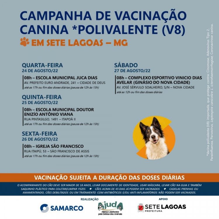 Vacinação gratuita de cães com a polivalente V8 será realizada em Sete Lagoas