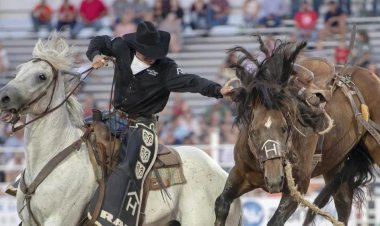 Em nova decisão, Justiça de Minas volta a permitir rodeios no estado