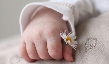 Menina de 2 anos morre após ter convulsão em creche no interior de Minas