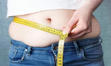 Sobrepeso está entre os principais fatores de risco para diversas doenças