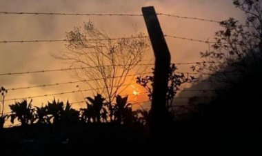 Queimadas em Minas aumentam mais de 70% em menos de 15 dias