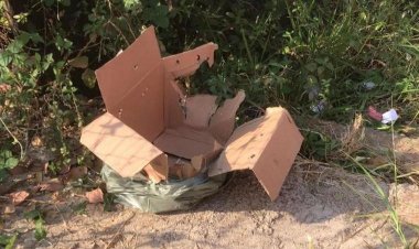 Recém-nascida é encontrada ainda com cordão umbilical em caixa de papelão no interior de Minas