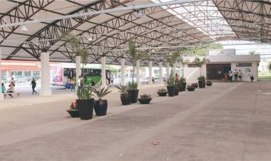 Vacinação antirrábica será disponibilizada até 28 de outubro no Terminal Urbano de Sete Lagoas