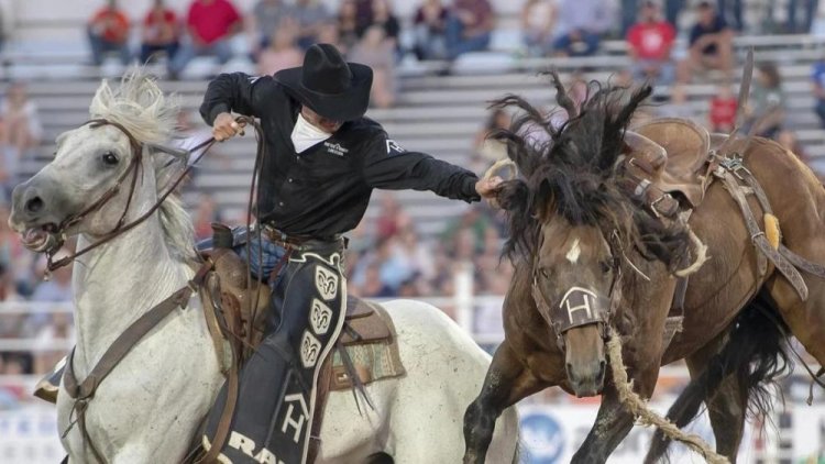 Em nova decisão, Justiça de Minas volta a permitir rodeios no estado
