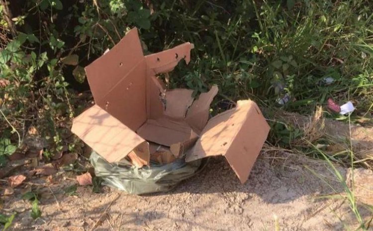 Recém-nascida é encontrada ainda com cordão umbilical em caixa de papelão no interior de Minas