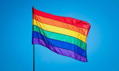 Funcionário chamado de 'bicha, veado e burra' será indenizado por empresa em MG