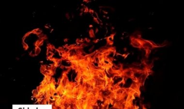 Homem morre após ser queimado vivo, no Sul de Minas