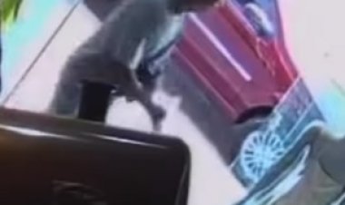 Ladrão furta sandália em loja no centro de Matozinhos