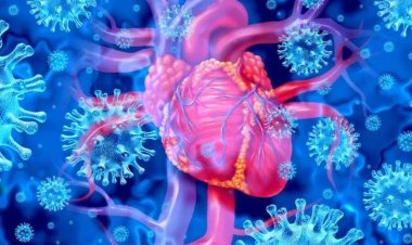 Covid-19: como doença pode provocar mortes prematuras anos depois da infecção