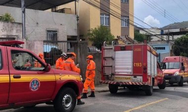Idosa morre ao ser atacada por pitbull do próprio irmão no interior de Minas Gerais