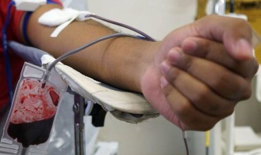 Triagem de sangue em hemocentros terá teste de malária