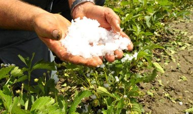 Chuvas de granizo em novembro já atingiram 51 mil hectares de lavouras em Minas Gerais