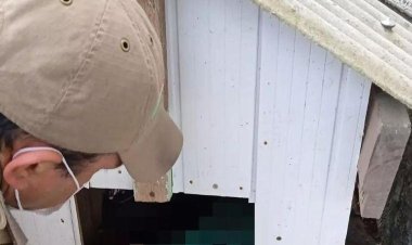 Criança haitiana é encontrada dormindo em casinha de cachorro em Santa Catarina