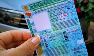 Grupo é preso suspeito de falsificar CNHs em Minas Gerais; candidatos pagavam até R$ 3 mil