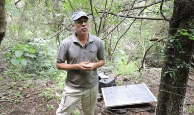 Pesquisadores da UnB coletam dados de sismógrafos após tremor e Defesa Civil tranquiliza população