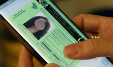 Carteira de habilitação volta a ter até 30 dias para renovação; veja como fica