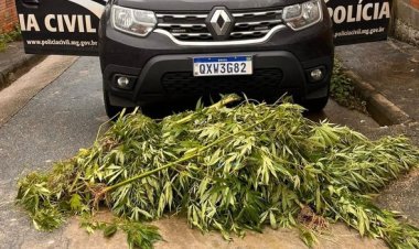 Polícia prende 12 pessoas envolvidas em mais de 10 assassinatos em MG