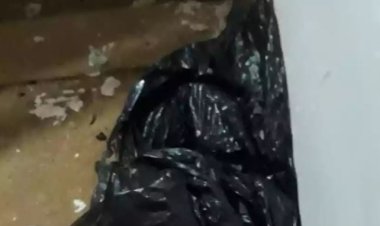 Bárbaro: homem é morto e esquartejado e pedaços do corpo são colocados em sacolas e lençol