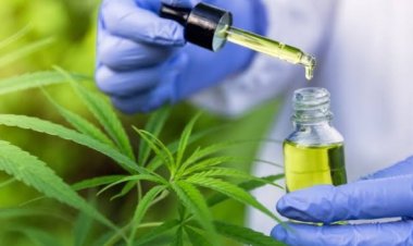 TJMG reconhece direito de criança com epilepsia receber remédio a base de canabidiol