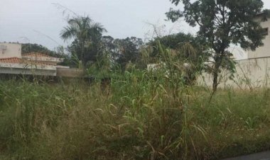 Proprietários de lotes em Sete Lagoas seguem sendo notificados para que limpem terreno em até dez dias