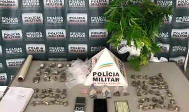 PM prende homem com pés de maconha no Morro do Claro