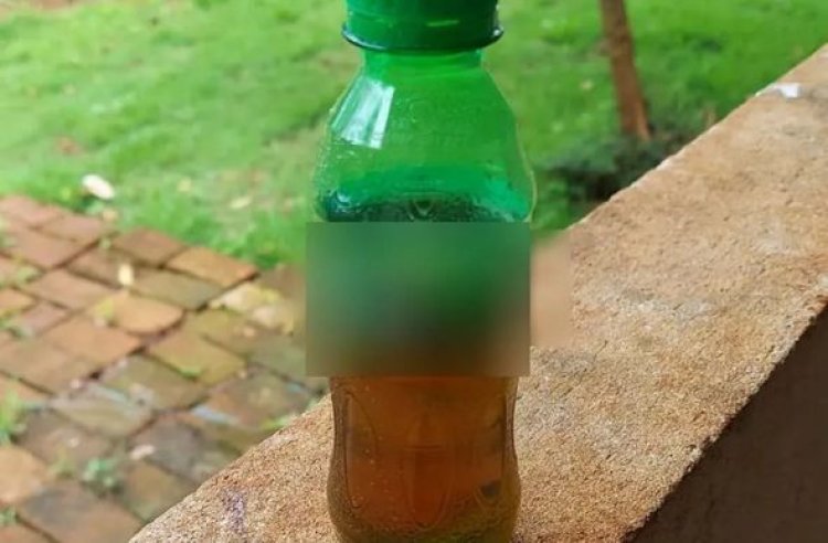 Criança morre após tomar veneno em garrafa de refrigerante; polícia investiga mãe e padrasto