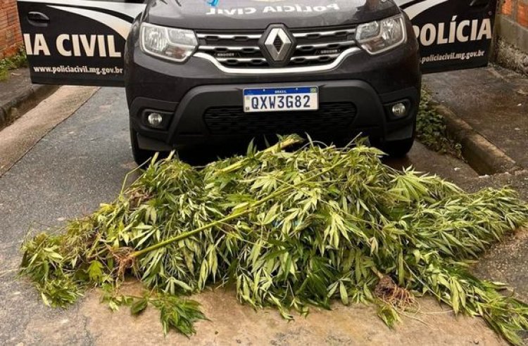 Polícia prende 12 pessoas envolvidas em mais de 10 assassinatos em MG