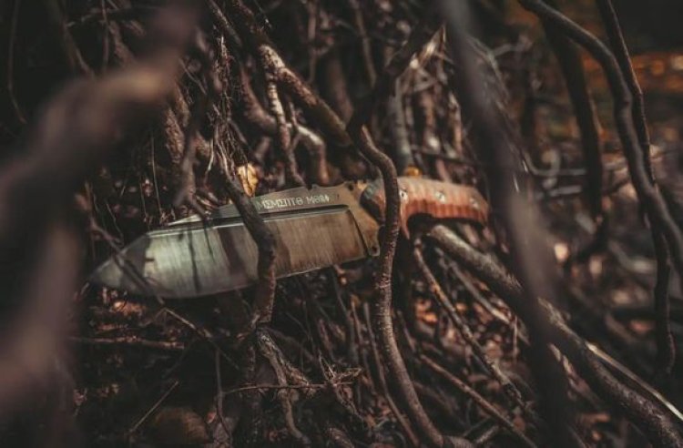 Garota de 12 anos esfaqueia e mata irmão mais novo