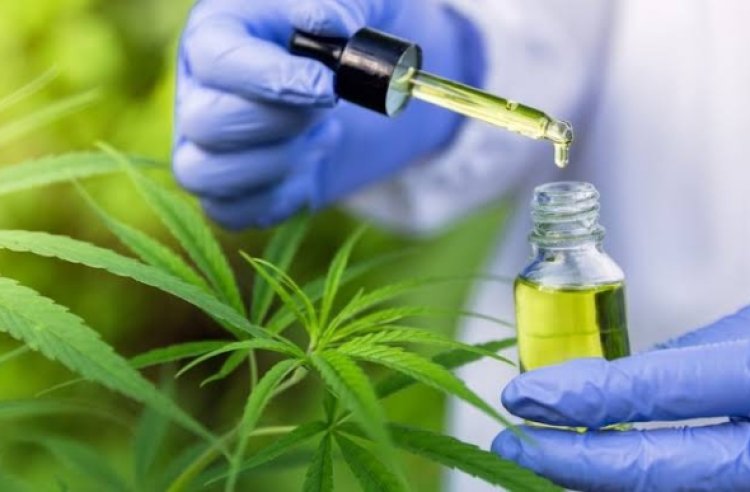 TJMG reconhece direito de criança com epilepsia receber remédio a base de canabidiol