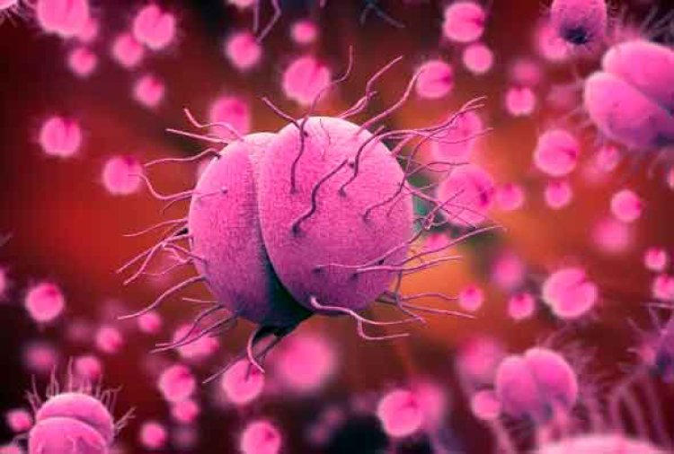 Casos de 'super gonorreia' resistente a antibióticos preocupa comunidade médica