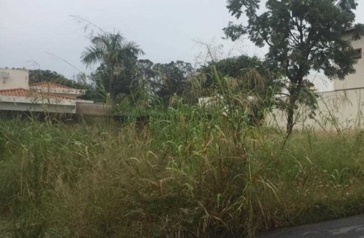 Proprietários de lotes em Sete Lagoas seguem sendo notificados para que limpem terreno em até dez dias