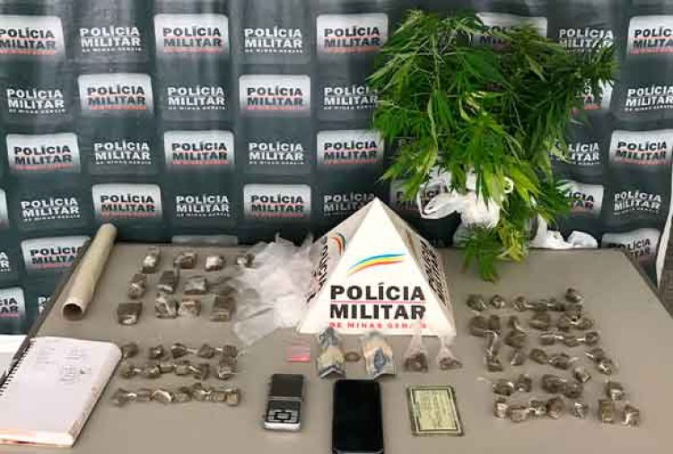 PM prende homem com pés de maconha no Morro do Claro