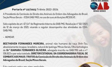 Cachorro é nomeado diretor em comissão pela OAB-MG; entenda