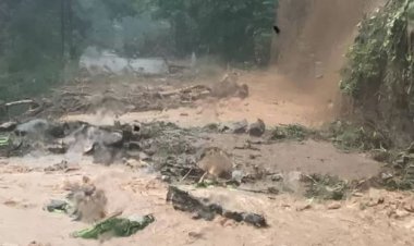 Chuvas no litoral de São Paulo causam destruição, deixam desabrigados e 36 mortos
