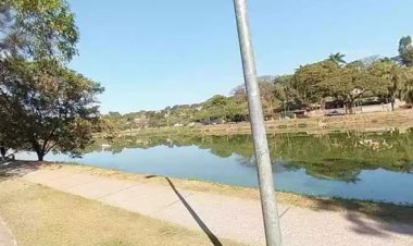 Filhote de gato é salvo por Bombeiros com respiração boca a boca após parada cardíaca