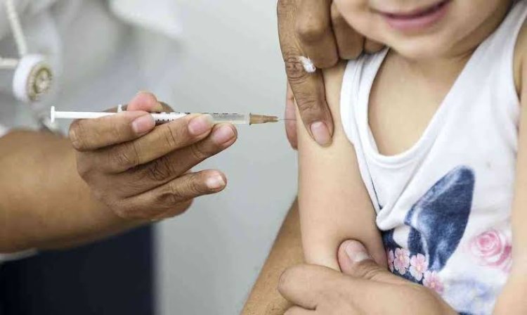 Cronograma de Vacinação 2023 é oficialmente divulgado pelo Governo; confira