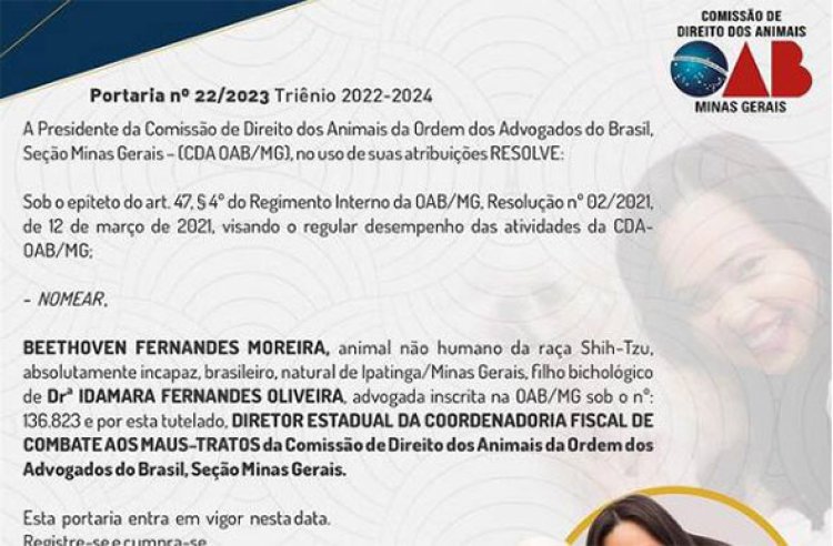 Cachorro é nomeado diretor em comissão pela OAB-MG; entenda