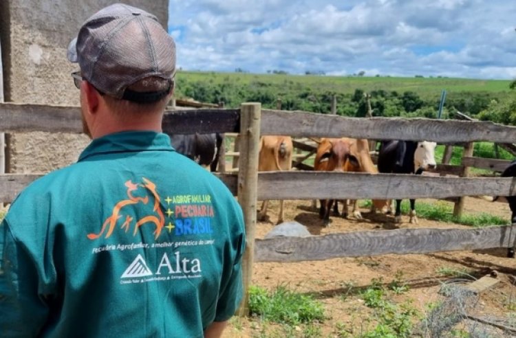 Prefeitura de Sete Lagoas adere a programa para melhorar a genética do gado de pequenos produtores