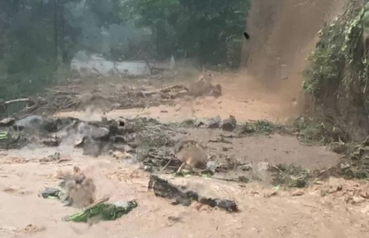 Chuvas no litoral de São Paulo causam destruição, deixam desabrigados e 36 mortos