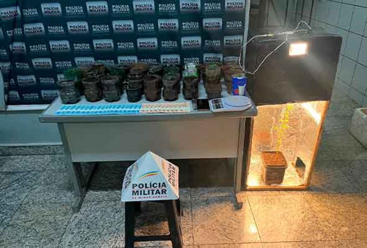 PM apreende 38 pés de maconha e estufa em casa de Sete Lagoas