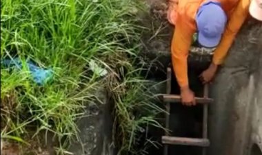 idoso desaparecido há oito dias é achado com vida dentro de bueiro às margens de rodovia