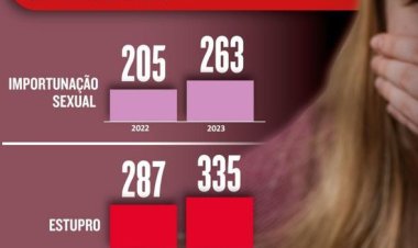 19 casos por dia: estupros e importunações sexuais disparam em Minas