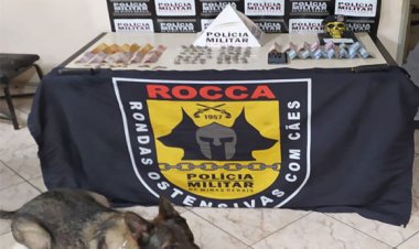 Polícia Militar apreende drogas em operação na área rural de Paraopeba