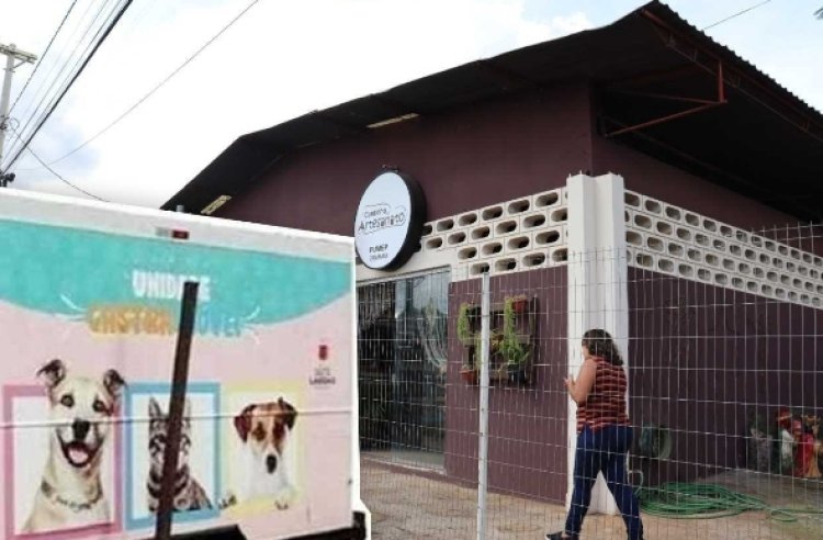 Castramóvel volta ao bairro Montreal com castrações gratuitas de cães e gatos em março