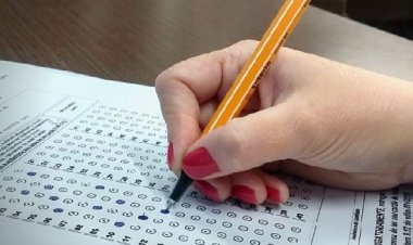 Planeje seu futuro profissional: confira as expectativas para os concursos públicos federais em 2023